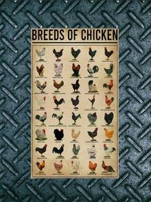 1入組雞品種海報牆壁藝術家居裝飾復古金屬錫標牌咖啡店板鐵畫警告復古新奇有趣幽默酒吧酒吧餐廳廚房錫標牌牆壁混合12X8英寸 - 彩色 - 查看 3