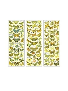 3入組蝴蝶樣式和紙膠帶 - 彩色 - 查看 6