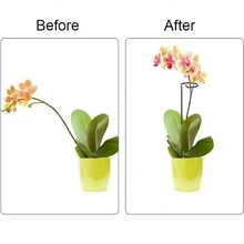 10 件花園植物樁,金屬單莖支架,適用於番茄、蘭花、牡丹、玫瑰等