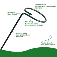 10 件花園植物樁,金屬單莖支架,適用於番茄、蘭花、牡丹、玫瑰等