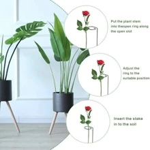 10 件花園植物樁,金屬單莖支架,適用於番茄、蘭花、牡丹、玫瑰等