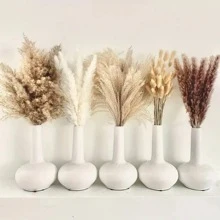 110pcs, Dried Pampas Grass Decor Boho Flower Bunny Tails Dried Flowers Bouquet Small Pampas Grass - Apricot - View 1