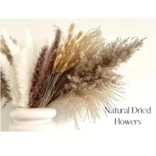 110pcs, Dried Pampas Grass Decor Boho Flower Bunny Tails Dried Flowers Bouquet Small Pampas Grass - Apricot - View 2