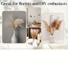 110pcs, Dried Pampas Grass Decor Boho Flower Bunny Tails Dried Flowers Bouquet Small Pampas Grass - Apricot - View 7