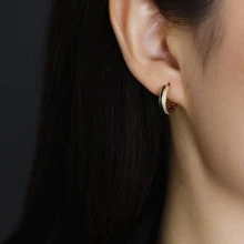 Silver Cubic Zirconia Decor Hoop Earrings - Gold - View 4