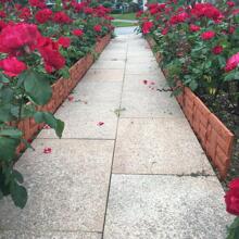 6 件/套 Diy 花園柵欄邊框折疊景觀花柵欄-路徑花園邊緣草坪仿石柵欄接地柵欄 - 棕色 - 查看 4