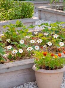 10pcs Daisy Design Decorative Garden Stake - Multicolor - View 2