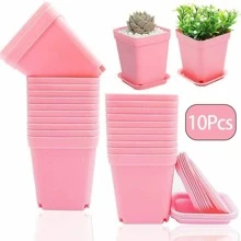 10pcs/set PC Plant Seedling Pot, Minimalist Solid Plant Pot For Seedling - Pink - View 1