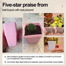10pcs/set PC Plant Seedling Pot, Minimalist Solid Plant Pot For Seedling - Pink - View 4