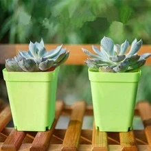 10pcs/set PC Plant Seedling Pot, Minimalist Solid Plant Pot For Seedling - Pink - View 6