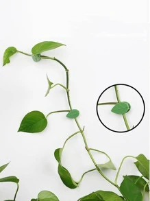 10入組植物固定夾 - 綠色 - 查看 5