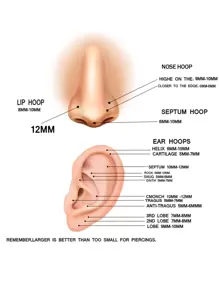 1 chiếc khuyên mũi G23 bằng titan, trang sức xỏ khuyên tròn đính kim cương, hợp kim titan có thể cấy ghép, khuyên tai sụn mềm có bản lề, khuyên mũi xỏ khuyên cơ thể, xỏ khuyên vách ngăn mũi, 6/8/10/12mm - Vàng - Xem 7
