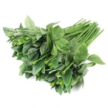 10/20/30/40 件印花绿色铁丝花茎，花店花束包装材料，家居装饰人造花茎 - 綠色 - 查看 6