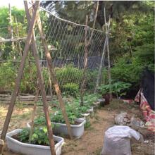 cái lưới làm vườn đơn giản - trắng - Xem 3