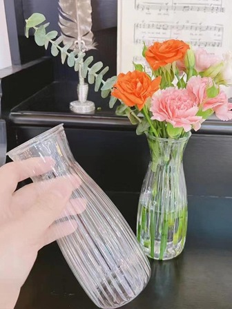 1pc Clear Flower Vase