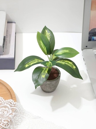 1 件人造盆栽，情人节、生日毕业礼物，家居装饰，返校房间装饰，学校用品