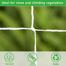 1pc 1.67 X 10 Meters 5 X 30Ft, Plant Trellis Netting, Heavy-Duty Polyester Grow Net, Garden Trellis Netting - White - View 6