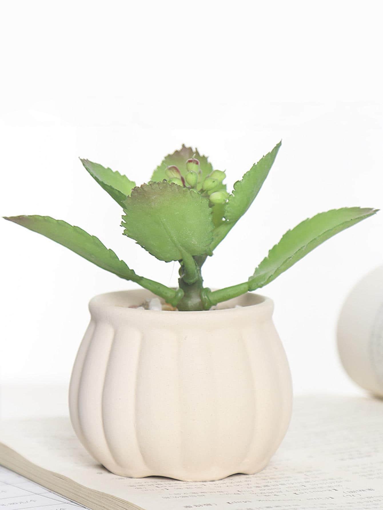 1入組陶瓷植物容器，現代米色家用花盆 - 米色 - 查看 1