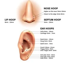 16G鉸鏈隔墊唱首歌環鼻環手術鋼淚滴隔墊環戴思穿孔耳環 - 銀色 - 查看 5