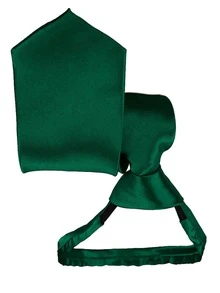 男士領帶，適用於正式場合和商務服裝 - 綠色 - 查看 2