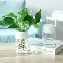 1入組塑料植物容器，現代透明家用花盆 - 無色 - 查看 2