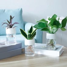 1入組塑料植物容器，現代透明家用花盆 - 無色 - 查看 4