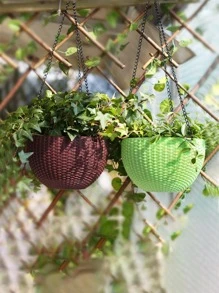 1入組塑膠植物日常白色藤懸掛式花籃適用於花園