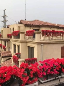 1 Nhân Tạo Nhựa Hoa Dây Leo, Hiện Đại Nhân Tạo Vòng Hoa Cho Đám Cưới, Trang Trí Nhà Cửa - Màu Hồng Tươi - Xem 2