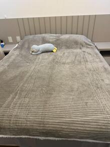 Blankets - Màu be - Xem 1