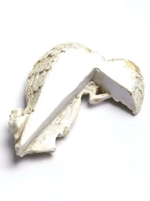 1 ABS Vật Trang Trí Sân Vườn, Sáng Tạo Hình Thiết Kế Làm Vườn Bãi Cỏ Vật Trang Trí Trang Trí Cửa - trắng - Xem 2