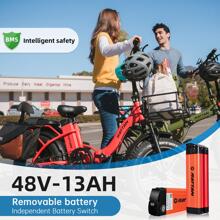 Rattan 750W Electric Bike for Adults 48V 13AH Removable Battery Foldable Electric Bikes LM/LF Pro Ebike 20" x 4.0 Fat Tire Electric Bicycles 2 Seater Electric Bike for Adults - màu đen - Xem 2