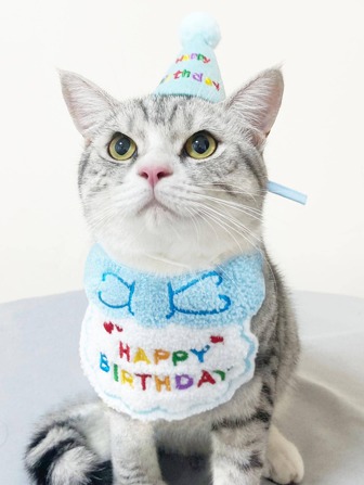 1 Pet Birthday Hat And 1 Embroidered Slogan Pet Bib Set, Birthday Party Accessories For Cats & Dogs