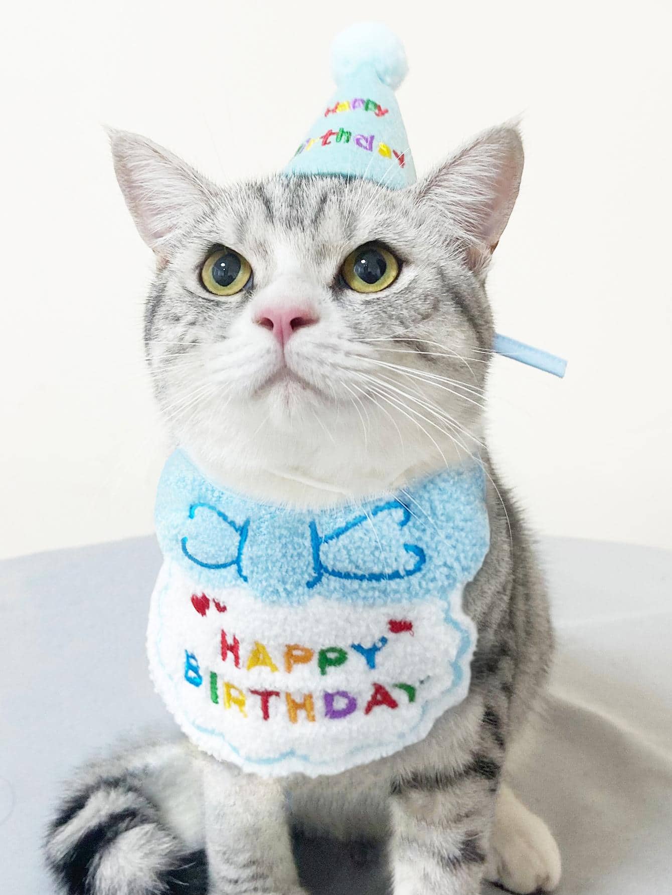 1 Pet Birthday Hat And 1 Embroidered Slogan Pet Bib Set, Birthday Party Accessories For Cats & Dogs