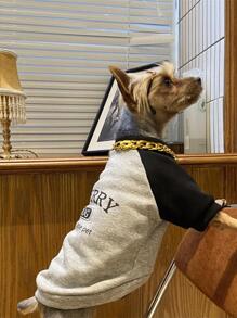 1 pezzo Collance catena per animale domestico