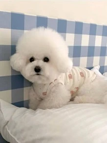 1入組卡通圖案寵物背心上衣適用於狗狗和貓適合春天和夏天 - 棕色 - 查看 3