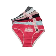 paquete 12 pantis económicos mujer tallas surtidas - Multicolor - Ver 2