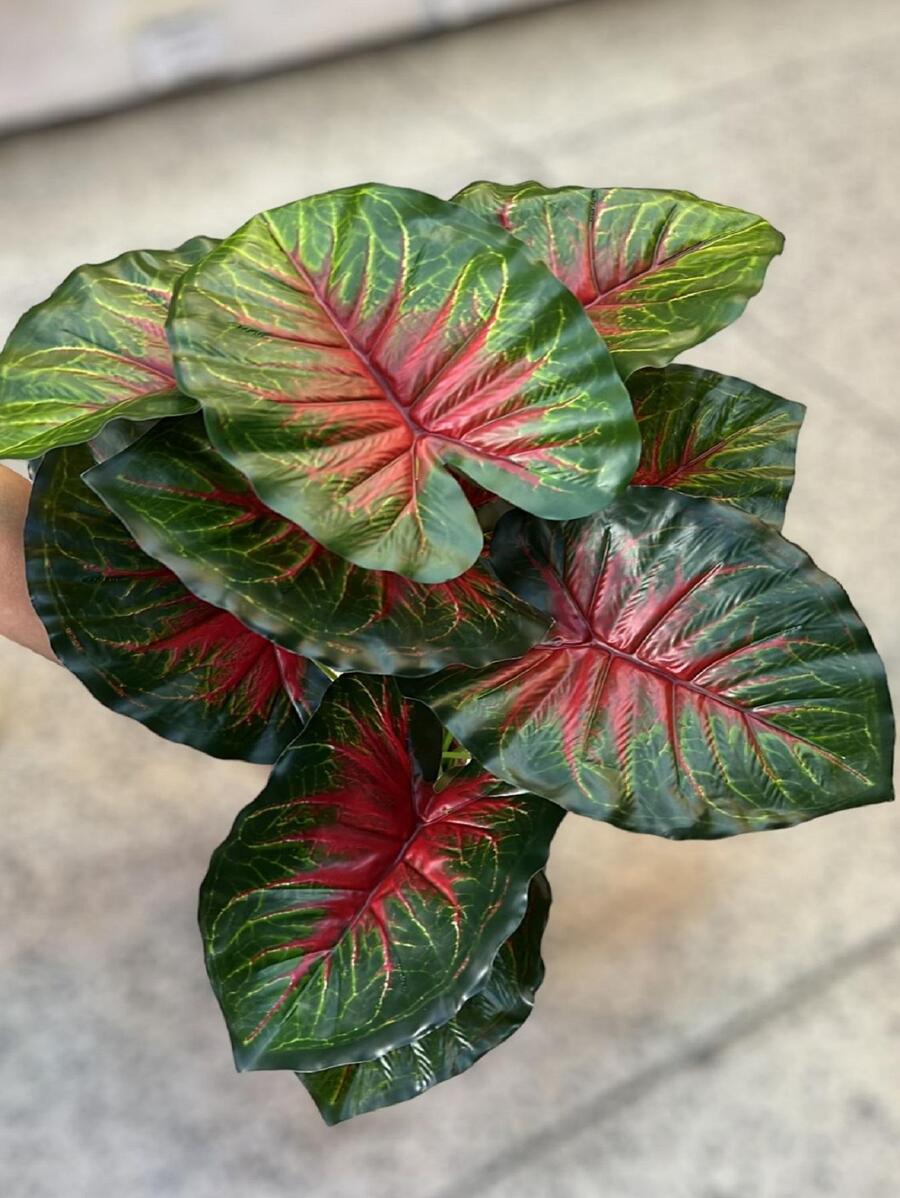 Artificial Plants - Đỏ - Xem 1
