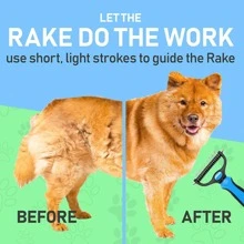 1 Bàn chải tẩy lông cho thú cưng ABS, Bàn chải tẩy lông hiện đại cho thú cưng - Nhiều màu - Xem 6