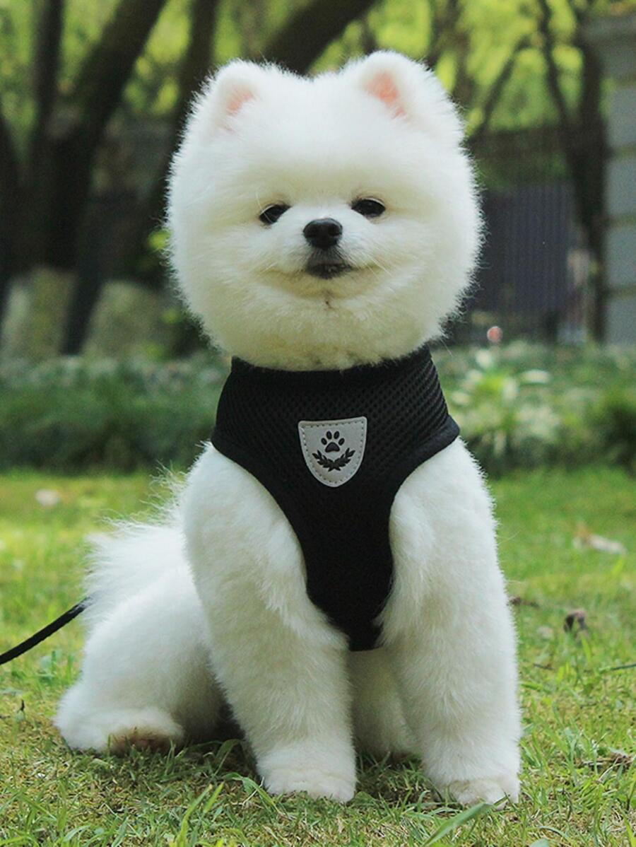 1 dây nịt thú cưng có thể điều chỉnh và 1 dây xích chó ngoài trời - màu đen - Xem 1