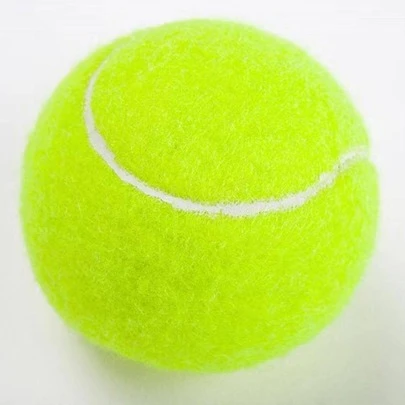 1个橡胶网球