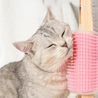 1入組牆角落貓抓撓墊適用於貓適用於玩