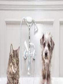 Shampoo para Perros y Gatos 300ml Pet Beauty - Rosa Fucsia - Ver 4