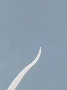 1Pack Portable Disposable Dental Toothpick,Teeth Cleaning Care Dental Floss Dental Tape Floss Picks Floss Threader Gum Floss Interdental Floss - White - View 4