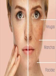 CREMA FACIAL PLACENTE REGENER-HOMINIS - transparente - Ver 2