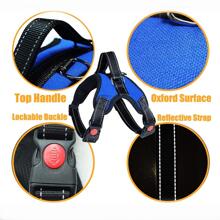 Ba lô vận chuyển vật nuôi có thể điều chỉnh 1pc - Xanh và trắng - Xem 5