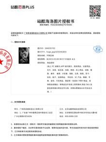 3 bức tranh in hình động vật có khung - Nhiều màu - Xem 6