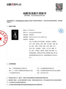 3 bức tranh in hình động vật có khung - Nhiều màu - Xem 7