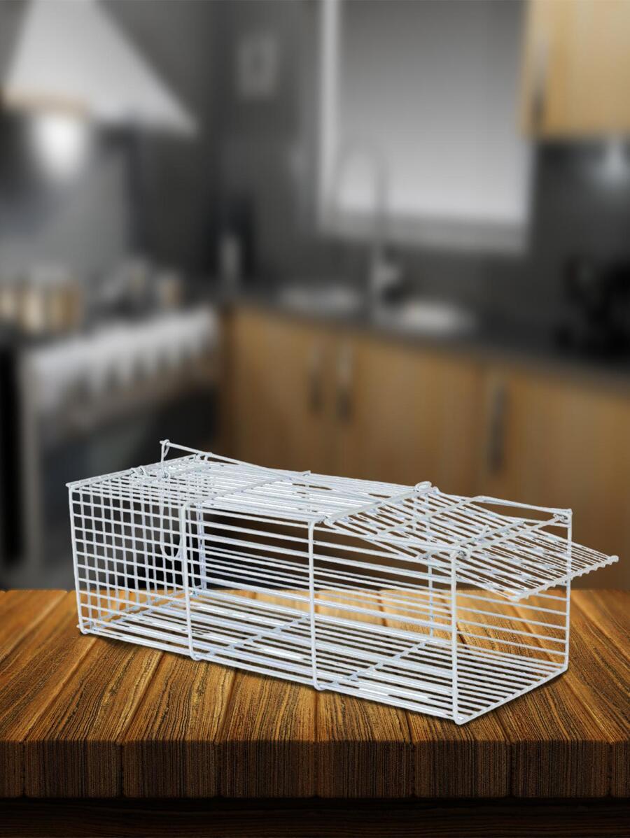 Aquarium Substrate - Bạc - Xem 1