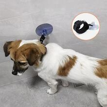 寵物洗澡和刷洗工具,固定人工製品