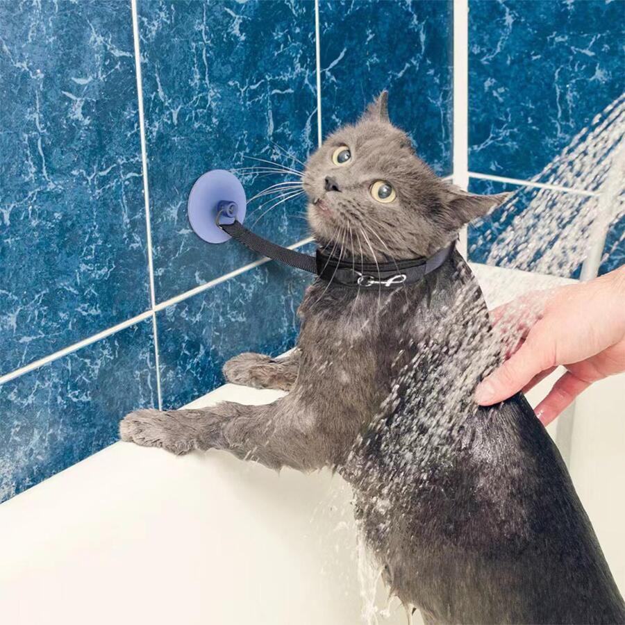 寵物洗澡和刷洗工具,固定人工製品